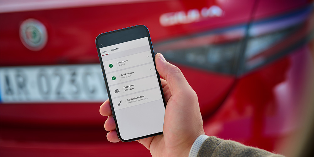 Alfa Connect Services