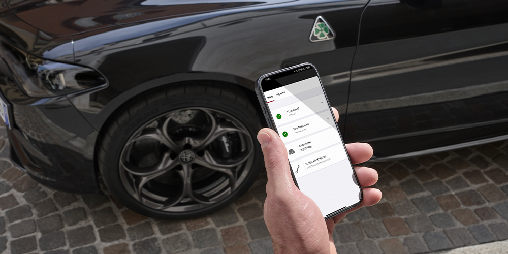 Services Alfa Connect