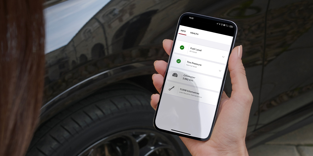 Services Alfa Connect